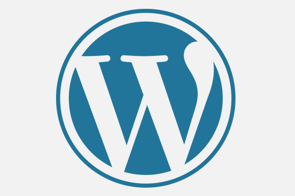 wordpress customization